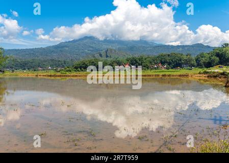 Landschaft in Tana Toraja. Die Wirtschaft von Torajan basiert auf der Landwirtschaft, mit nassem Reis in terrassenförmigen Feldern an Berghängen und in Tälern Stockfoto