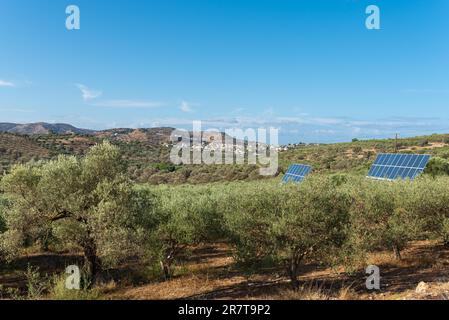 Erzeugung erneuerbarer Energie mit Solarzellen in den Olivenhainen des kleinen Dorfes Pitsidia im Süden Kretas. Das Dorf befindet sich zwischen Stockfoto