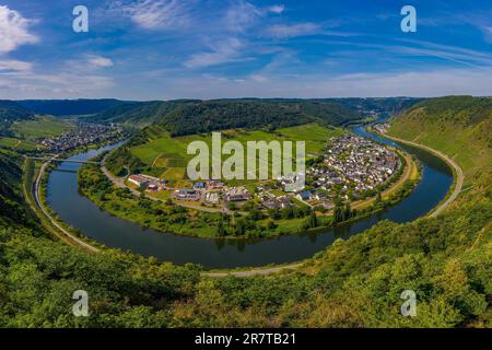 Panoramablick auf die Moselschleife bei Bruttig bei Cochem, Deutschland Stockfoto