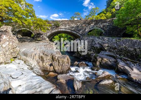 Pont-y-Pair, Steinbogenbrücke über den Llugwy River, Betws-y-Coed, Wales, Großbritannien Stockfoto