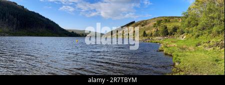 Llyn Geirionydd Mountain Lake, Wales, Großbritannien Stockfoto