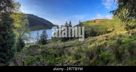 Llyn Geirionydd Mountain Lake, Wales, Großbritannien Stockfoto