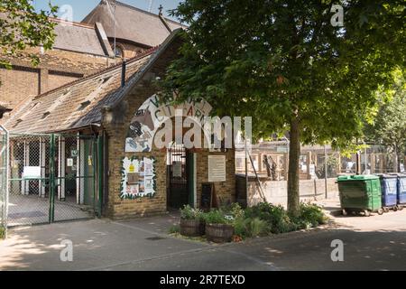 Vauxhall City Farm, Tyers Street, London, SE11, England, UK Stockfoto