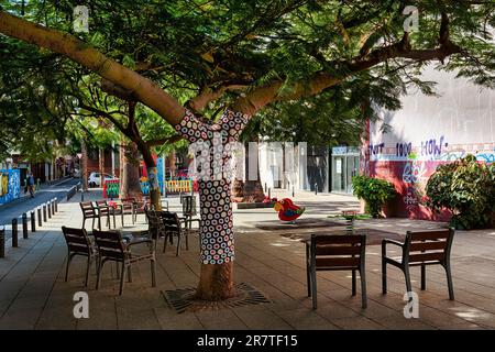 Stühle unter Bäumen in der Fußgängerzone, Strickkunst, urbanes Stricken, Guerilla Stricken, Calle Viera y Clavijo, Santa Cruz de Tenerife, Teneriffa, Spanien Stockfoto
