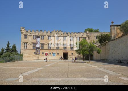 Musée du Petit Palais, Place du Palais, Museum, Fußgängerzone, Banner, Avignon, Vaucluse, Provence, Frankreich Stockfoto