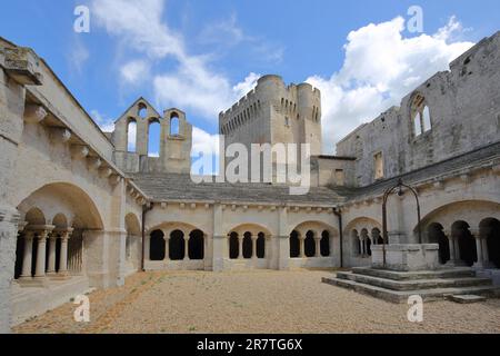Innenhof mit Kreuzgang und Bögen des romanischen Klosters Abbaye de Montmajour, Kloster, Romanik, Säulen, Benediktinerkloster Stockfoto