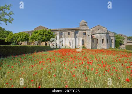 Klosteranlage mit Mohnfeld Saint-Paul-de-Mausole, Kirche, St., Saint-Remy-de-Provence, Remy, Provence, Alpilles, Bouches-du-Rhone, Frankreich Stockfoto