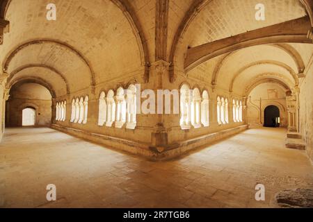 Kreuzgang der romanischen Abbaye de Montmajour, Blick auf den Innenbereich, Säulen, Korridore, Gewölbe, Kloster, Romanik, Benediktinerkloster, Arles Stockfoto