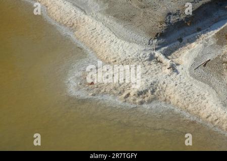 Salzablagerungen am Ufer des Wassers, Detail, Natur, Boden, Salz, Salzkristalle, Salzsteine, Salzkruste, Meersalz, Salzwasser, Kochsalzlösung Stockfoto