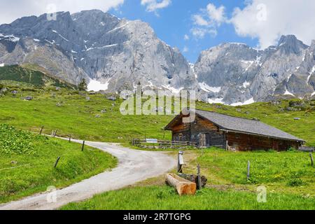 Alpenhütte mit Hochkoenig, Riedingtal, Mühlbach am Hochkoenig, Pongau, Salzburg, Österreich Stockfoto