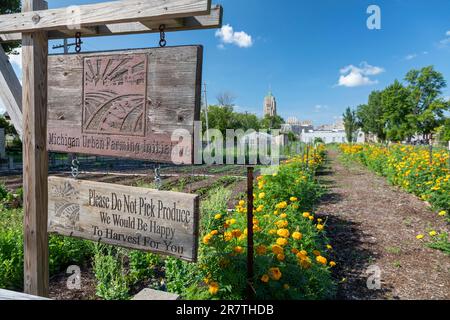 Detroit, Michigan, Eine gemeinnützige Farm in der Innenstadt von Detroit, genannt Michigan Urban Farming Iniative Stockfoto