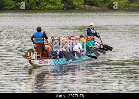 Washington, DC, das DC Dragon Boat Festival auf dem Potomac River. Drachenbootfahren ist eine 2300 Jahre alte chinesische Tradition. Das Festival in Washington schon Stockfoto