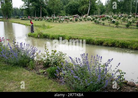 „Romju pojenes“ ist ein neuer Pfingstgarten, der 2020 gegründet wurde. Derzeit werden auf dem Bauernhof etwa 730 verschiedene Pfingstrosen angebaut. Stockfoto