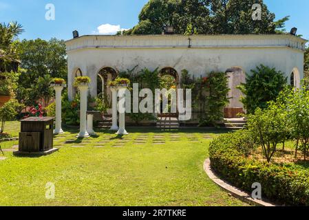 Orchideengarten als Teil der Perdana Botanical Gardens in Kuala Lumpur. Der Orchideengarten wurde 1986 eröffnet. Hier sind 700-800 Orchideenarten zu sehen Stockfoto