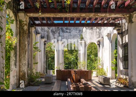 Orchideengarten als Teil der Perdana Botanical Gardens in Kuala Lumpur. Der Orchideengarten wurde 1986 eröffnet. Hier sind 700-800 Orchideenarten zu sehen Stockfoto