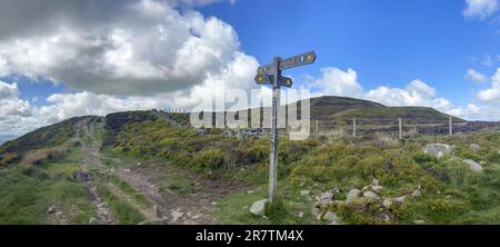 Wanderwegweiser zum Jubilee Tower, Moel Famau, Wales, Großbritannien Stockfoto