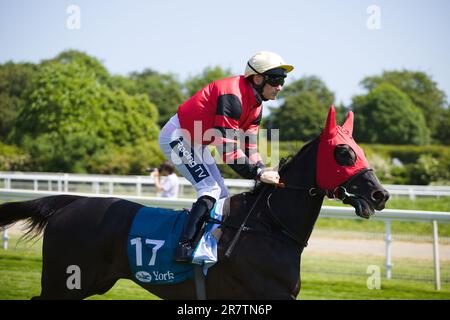 Jockey Paul Mulrennan auf Floral Splendour auf der York Racecourse. Stockfoto