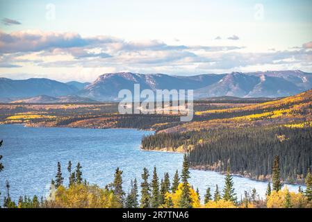 Blick aus der Vogelperspektive auf den Little Atlin Lake im Yukon Territory, Nordkanada. Stockfoto