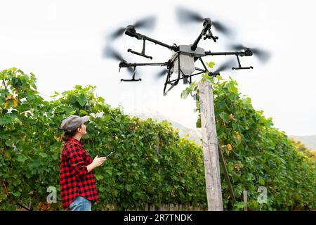 Landwirtin steuert Drohnensprühgerät mit einem Tablet. Intelligente Landwirtschaft und Präzisionslandwirtschaft. Stockfoto