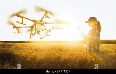 Landwirtin steuert Drohnensprühgerät mit einem Tablet. Intelligente Landwirtschaft und Präzisionslandwirtschaft. Stockfoto