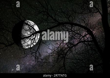 Ein gruseliges Halloween-Motiv mit einem blattlosen Baum im Vordergrund und der Milchstraße und einem Vollmond mit Schatten, die durch den Hintergrund schauen. Stockfoto