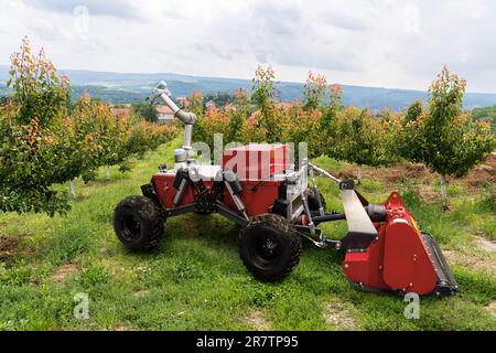 Autonomer Landwirtschaftsroboter mit Roboterarm. Intelligentes Landwirtschaftskonzept. Stockfoto