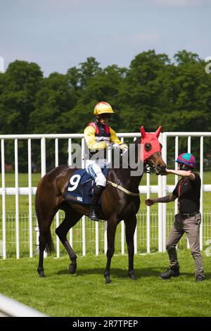 Jockey Paul Mulrennan auf Wickywickywheels auf der York Rennbahn. Stockfoto