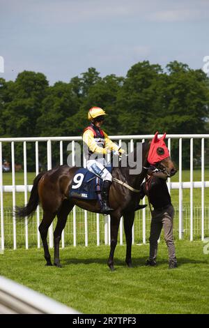 Jockey Paul Mulrennan auf Wickywickywheels auf der York Rennbahn. Stockfoto