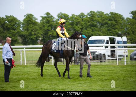 Jockey Paul Mulrennan auf Wickywickywheels auf der York Rennbahn. Stockfoto