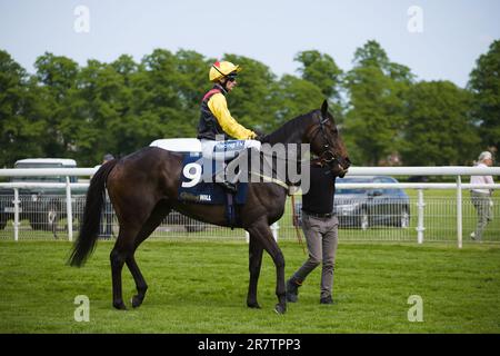 Jockey Paul Mulrennan auf Wickywickywheels auf der York Rennbahn. Stockfoto