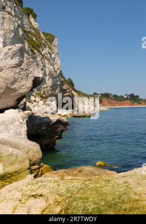Weiße Klippen bei Beer in East Devon Stockfoto