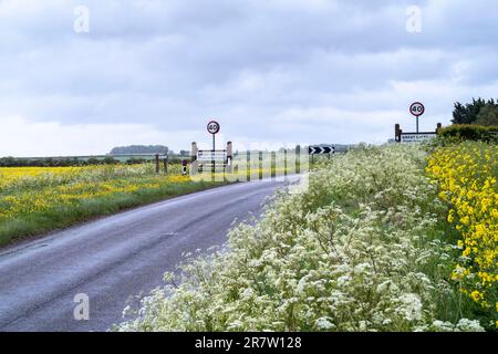 Dorfschild und Geschwindigkeitsbegrenzungsschilder für 40 km/h am Rande des Dorfes Great Chishill in Norfolk, England Stockfoto