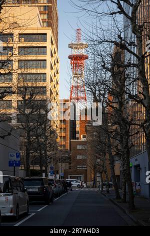 Yokohama, Präfektur Kanagawa, Japan. 23. Februar 2023. Ein Fernsehturm. Minato Mirai ist ein lebhaftes Hafenviertel in Yokohama, Japan. Es bietet berühmte Wahrzeichen wie den Yokohama Landmark Tower und Cosmo Clock 21, zusammen mit Einkaufszentren, Unterhaltungsstätten und wunderschönen Parks. (Kreditbild: © Taidgh Barron/ZUMA Press Wire) NUR REDAKTIONELLE VERWENDUNG! Nicht für den kommerziellen GEBRAUCH! Stockfoto