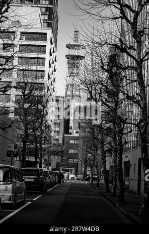 Yokohama, Präfektur Kanagawa, Japan. 23. Februar 2023. Ein Fernsehturm. Minato Mirai ist ein lebhaftes Hafenviertel in Yokohama, Japan. Es bietet berühmte Wahrzeichen wie den Yokohama Landmark Tower und Cosmo Clock 21, zusammen mit Einkaufszentren, Unterhaltungsstätten und wunderschönen Parks. (Kreditbild: © Taidgh Barron/ZUMA Press Wire) NUR REDAKTIONELLE VERWENDUNG! Nicht für den kommerziellen GEBRAUCH! Stockfoto