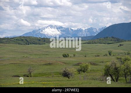 Pikes Peak in der Ferne mit Blick auf Greenland Open Space, ein County Park in der Nähe von Monument, Colorado Stockfoto