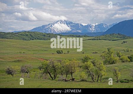 Pikes Peak in der Ferne mit Blick auf Greenland Open Space, ein County Park in der Nähe von Monument, Colorado Stockfoto