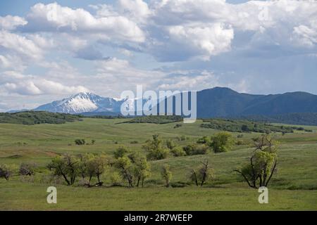 Pikes Peak in der Ferne mit Blick auf Greenland Open Space, ein County Park in der Nähe von Monument, Colorado Stockfoto