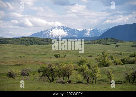 Pikes Peak in der Ferne mit Blick auf Greenland Open Space, ein County Park in der Nähe von Monument, Colorado Stockfoto