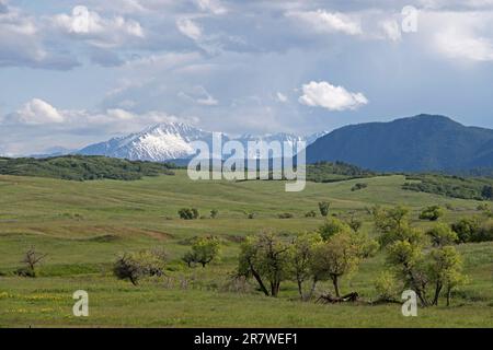 Pikes Peak in der Ferne mit Blick auf Greenland Open Space, ein County Park in der Nähe von Monument, Colorado Stockfoto