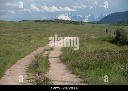 Greenland Open Space, ein County Park in der Nähe von Monument, Colorado Stockfoto