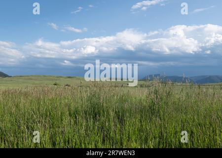 Greenland Open Space, ein County Park in der Nähe von Monument, Colorado Stockfoto