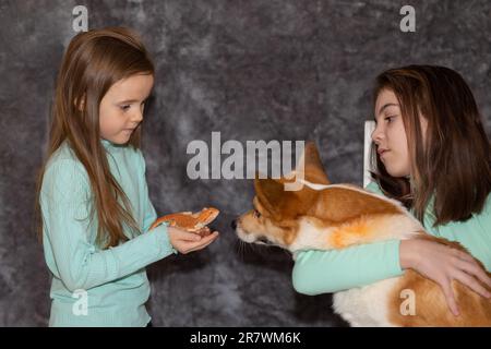 Porträt hübscher Mädchen mit rotem Agama-Leguan und Corgi-Hund auf grauem Hintergrund. Zwei kleine Kinder, die mit Haustieren spielen. Selektiver Fokus. Hochwertiges Foto Stockfoto