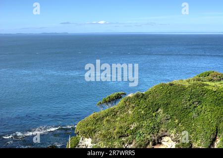 Wunderschöne Meereslandschaft mit überwucherten Küstenklippen und Blick auf das Meer auf Chiloe Island in Chile Stockfoto