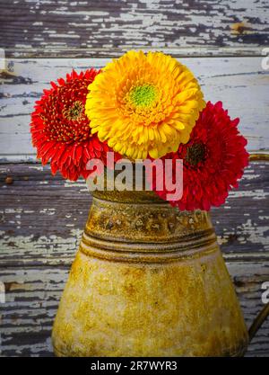 Drei Gänseblümchen in einer rustikalen Vase Stockfoto