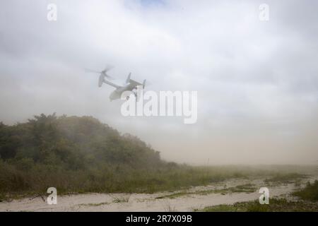 EIN US-AMERIKANISCHER Marine Corps MV-22 Osprey startet während eines amphibischen Angriffs, Onslow Beach, Camp Lejeune, North Carolina, Juni 2, 2023. Der Angriff war das letzte Ereignis der Übung der Composite Training Unit (C2X), die im Rahmen der 26 von der Marine Expeditionary Unit ausgestellten Sondereinsatzfähigkeitszertifizierung eine Ausbildung der Seeschifffahrt von Schiff zu Land mit Folgemaßnahmen anbot. Die Expeditionary Operations Training Group organisierte C2X als Höhepunkt des im Rahmen des MEU-Ausbildungsprogramms 26. durchgeführten Ausbildungsprogramms vor der Entsendung und stellte sicher, dass sie bereit sind, als vorausschauendes MAGTF auf See zu reagieren, das in der Lage ist, eine durchzuführen Stockfoto