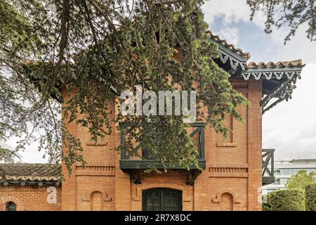 Fassade eines alten Ziegelgebäudes mit grünen Balkonen, Giebeln auf den Dächern und Pinienzweigen davor Stockfoto