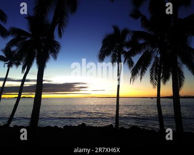 Sonnenuntergang an einem palmengesäumten Strand mit einem ruhigen Ozean im Hintergrund in Suva, Fidschi. Stockfoto