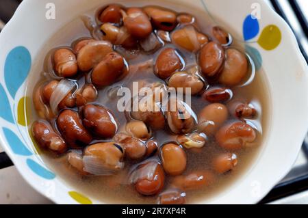 Ägyptische Küche mit beliebter traditioneller Fava-Bohnen-Sprossen-Suppe, aus Fava-Bohnen, Kreuzkümmel, Salz, Zitrone, Öl, Knoblauch und Zwiebeln, nach dem Einfüllen der Bohnen Stockfoto