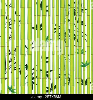 Bambus nahtloser asiatischer Tropenwald. Holz-Vektorblatt-Hintergrund. Stock Vektor