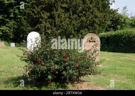 St. Michael's and All Angels Church, Edwyn Ralph Stockfoto